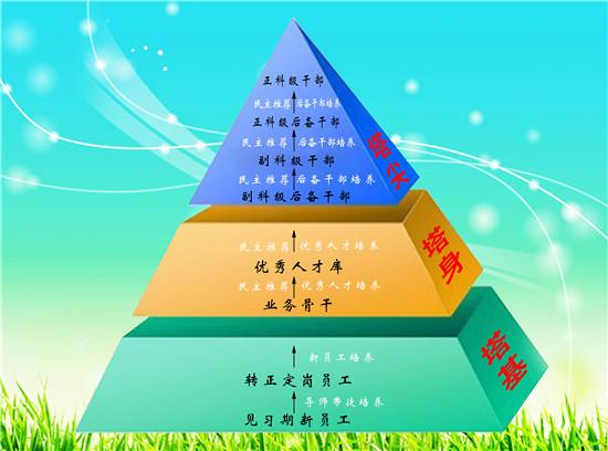 "金字塔"型人才培养示意图.jpg